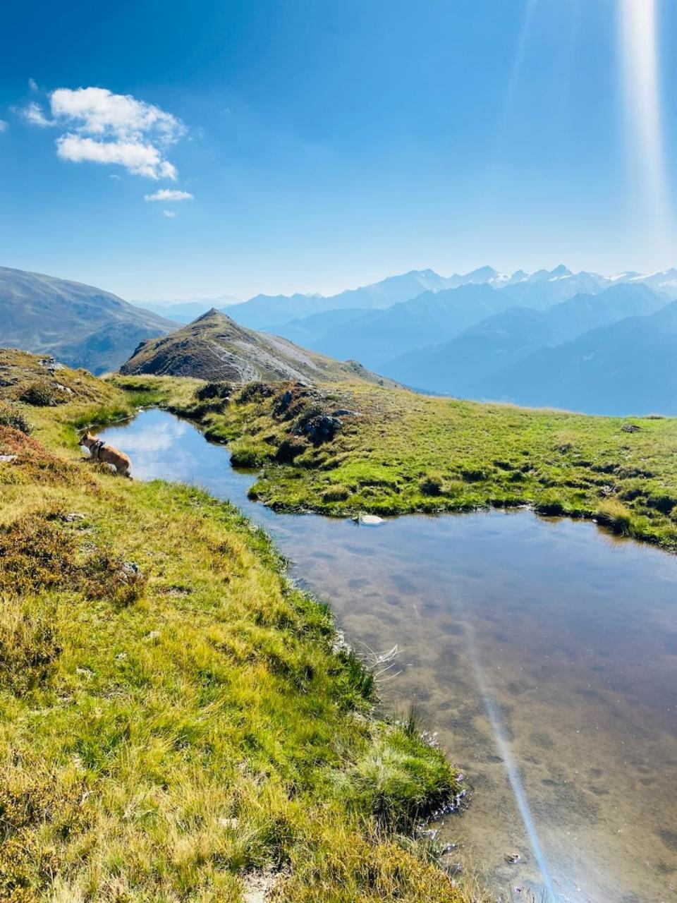 Appartement Mountain & Fun Saalbach-Hinterglemm Zewnętrze zdjęcie