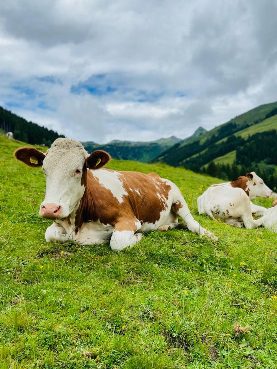 Appartement Mountain & Fun Saalbach-Hinterglemm Zewnętrze zdjęcie